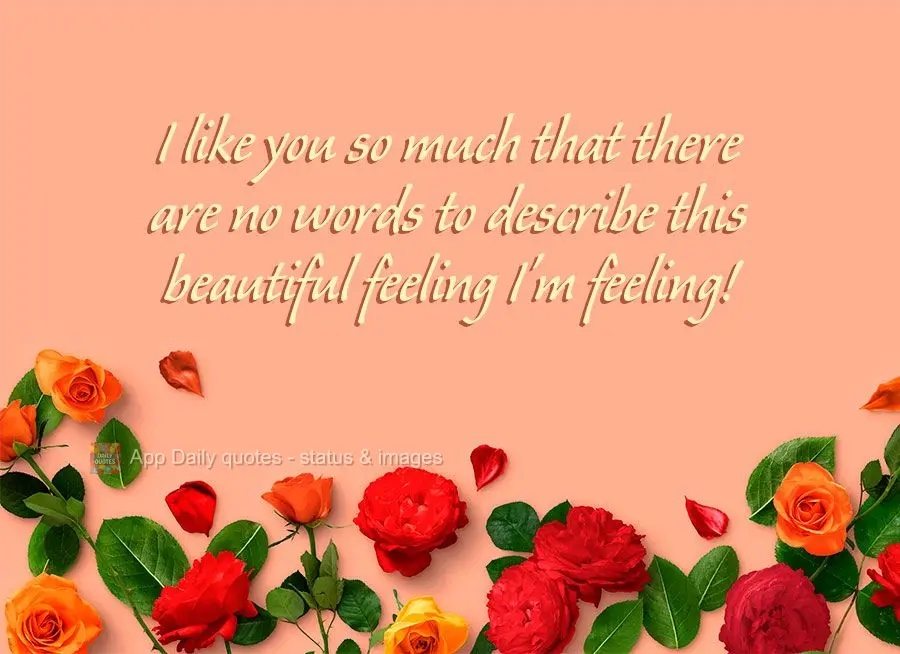 I like you so much that there are no words to describe this beautiful feeling I'm feeling!