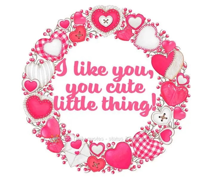 I like you, you cute little thing!