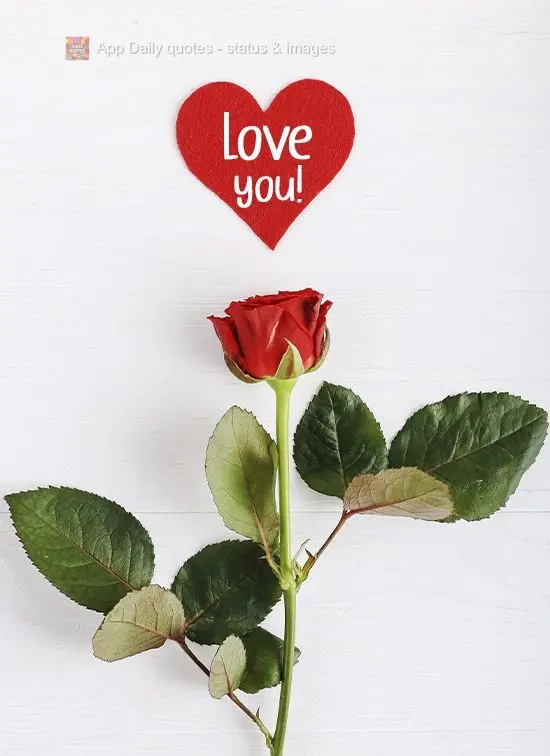 I love you!