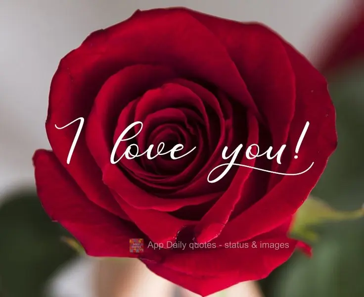 I love you!