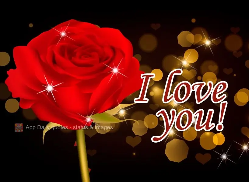 I love you!