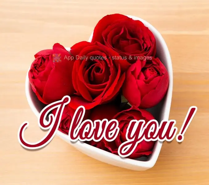 I love you!