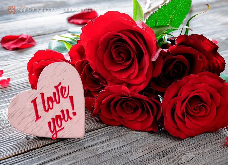 I love you!
