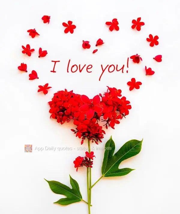 I love you!