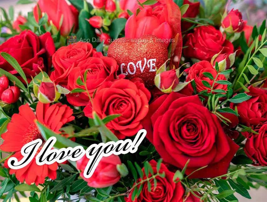 I love you!