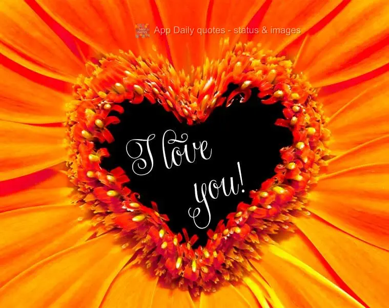 I love you!