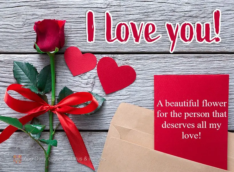 A beautiful flower for the person that deserves all my love!  I love you! 