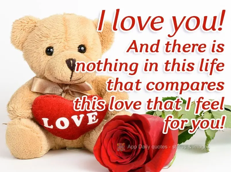 I love you! And there is nothing in this life that compares to this love that I feel for you!