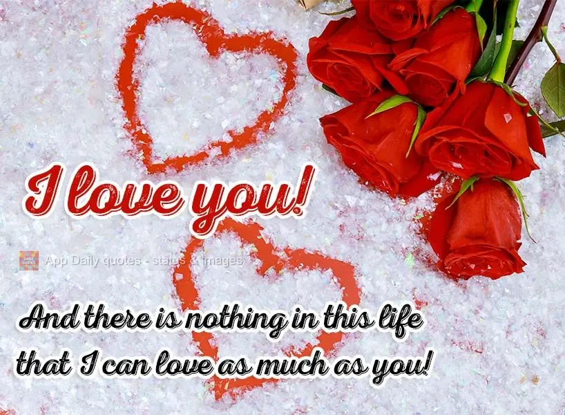 I love you! And there is nothing in this life that I can love as much as you!