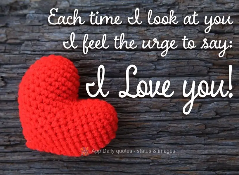 Each time I look at you I feel the urge to say: I love you!