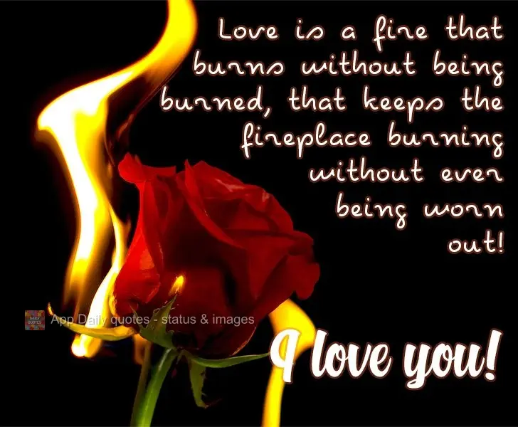 Love is a fire that warms without scorching, that keeps the fireplace going without ever burning out! I love you!