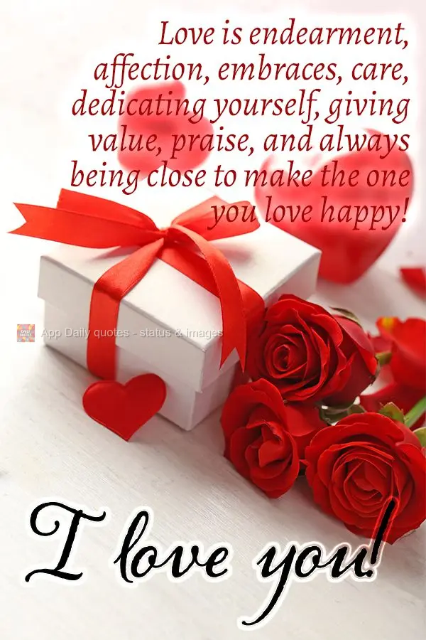 Love is endearment, affection, embraces, care, dedicating yourself, giving value, praise, and always being close to make the one you love happy! I love y...