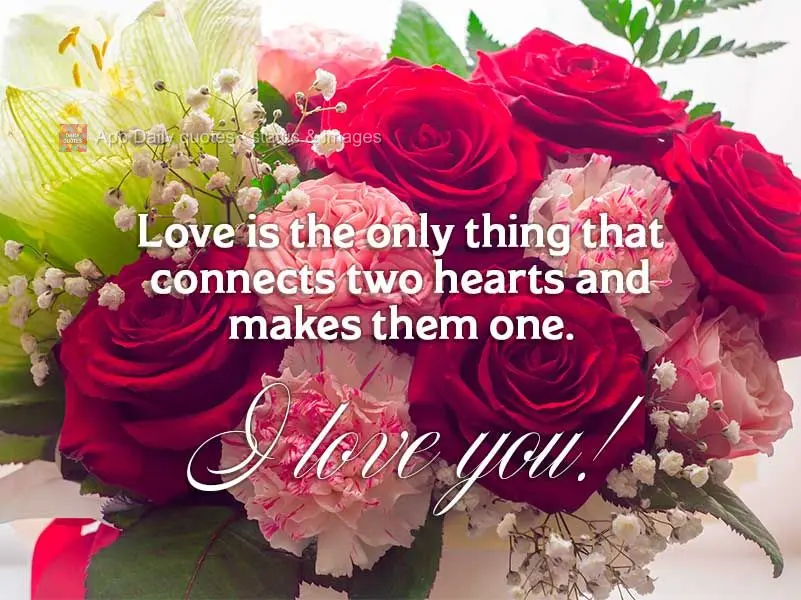 Love is the only thing that connects two hearts and makes them one. I love you!
