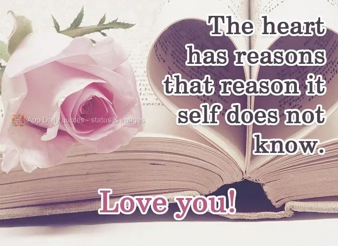 The heart has reasons that reason itself does not know.  Love you!