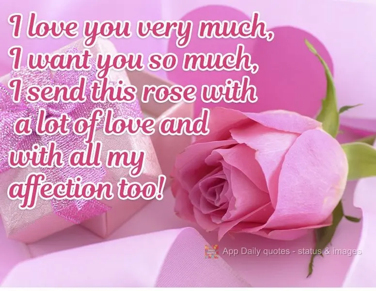 I love you very much. I want you so much. I send this rose with a lot of love and with all my affection too!