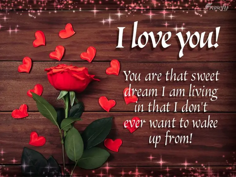 You are that sweet dream I am living in that I don't ever want to wake up from! I love you!