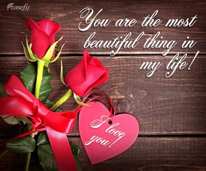 You are the most beautiful thing in my life! I love you!