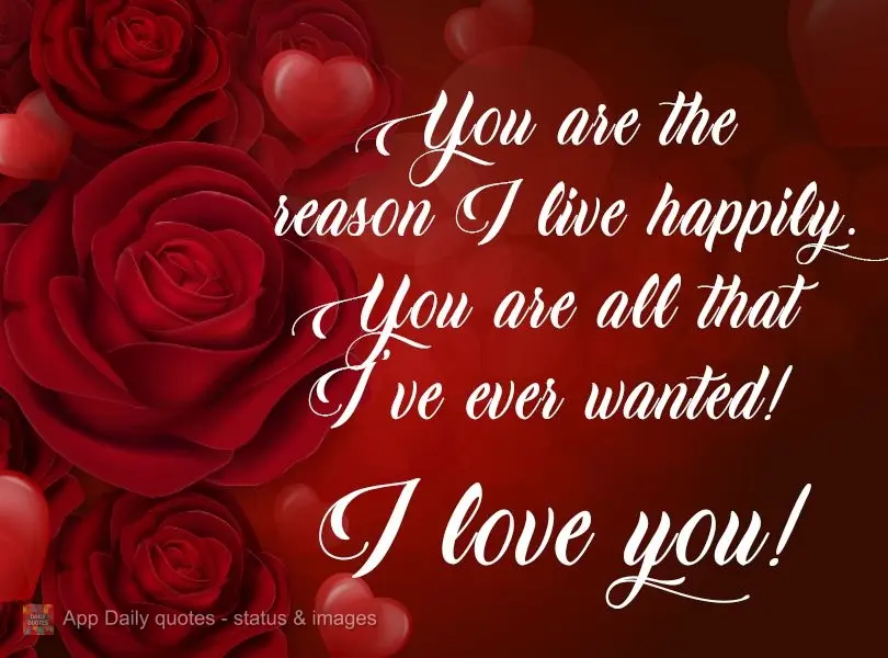 You are the reason I live happily. You are all that I've ever wanted!  I love you! 