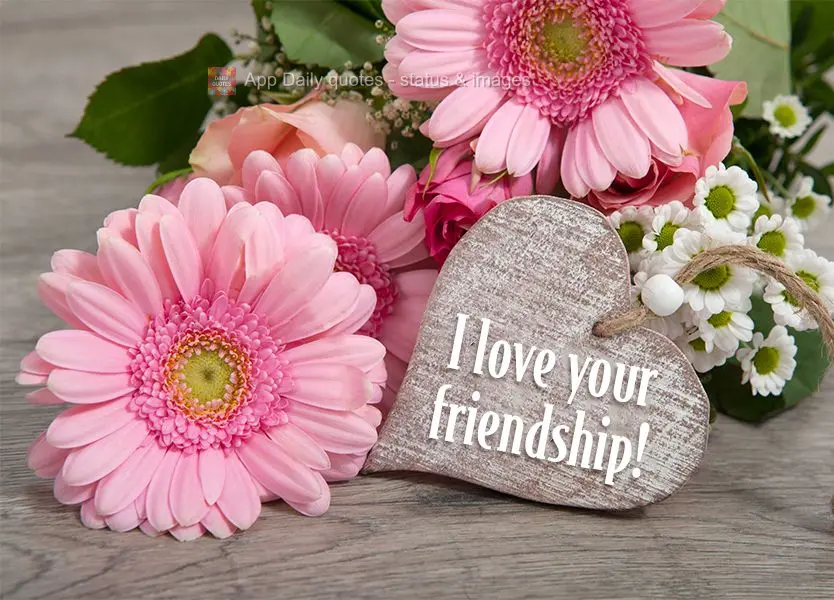 I love your friendship!
