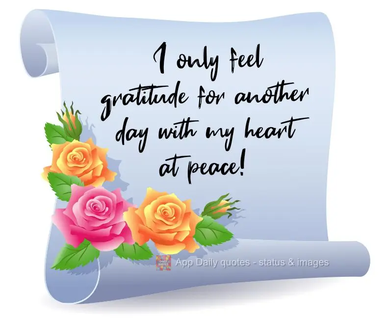 I only feel gratitude for another day with peace in my heart!