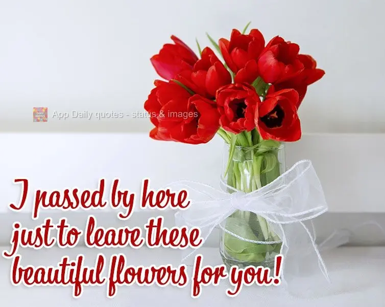 I passed by just to leave these beautiful flowers for you!