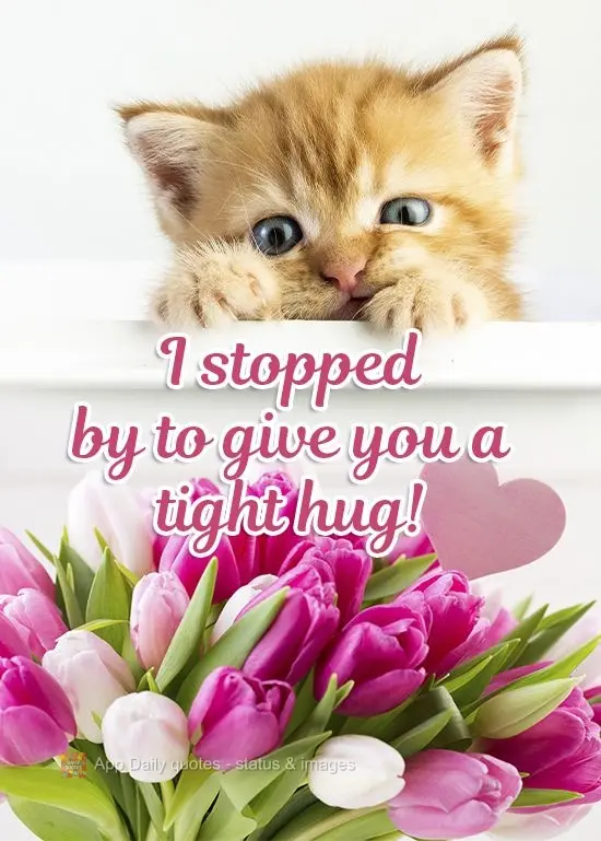 I stopped by to give you a tight hug! 