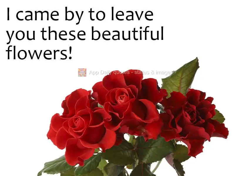 I stopped by to leave you these beautiful flowers!