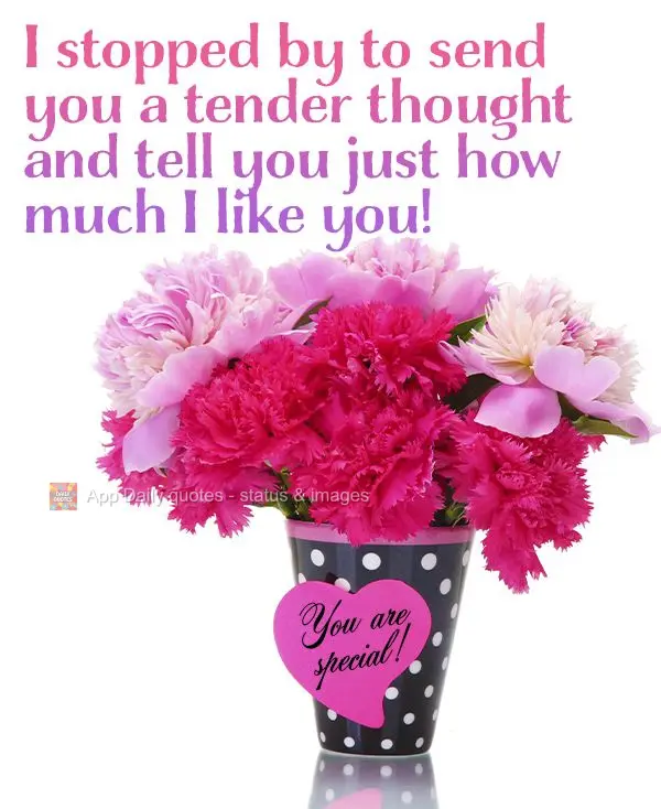 I stopped by to send you a tender thought and tell you just how much I like you! You are special!