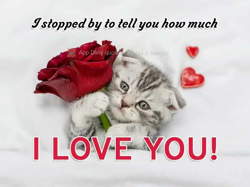 I stopped by to tell you how much I love you!