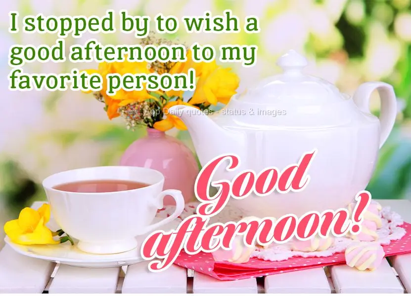 I stopped by to wish a good afternoon to my favorite person! Good afternoon!