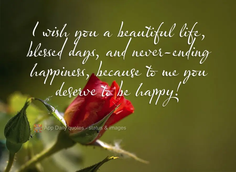 I wish you a beautiful life, blessed days, and never-ending happiness, because to me you deserve to be happy!