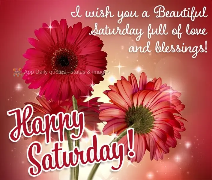 I wish you a Beautiful Saturday full of love and blessings!  Happy Saturday!