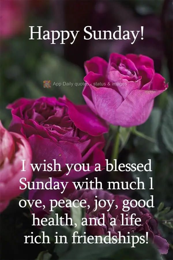 I wish you a blessed Sunday with much love, peace, joy, good health, and a life rich in friendships!  Happy Sunday! 