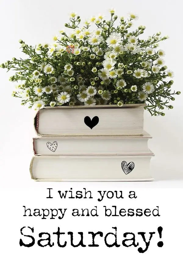 I wish you a happy and blessed Saturday!