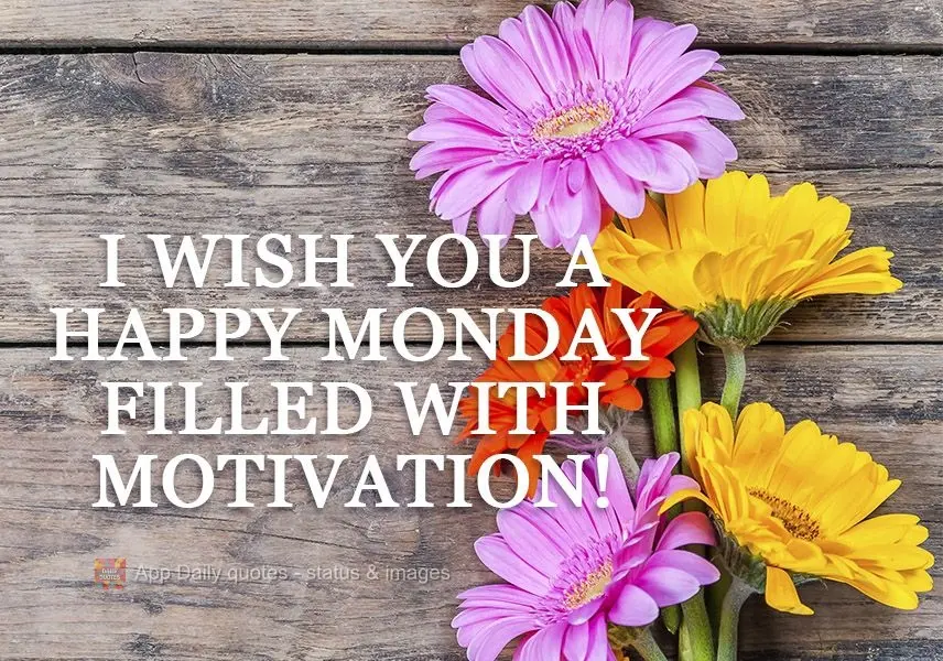 I wish you a happy Monday filled with motivation! 