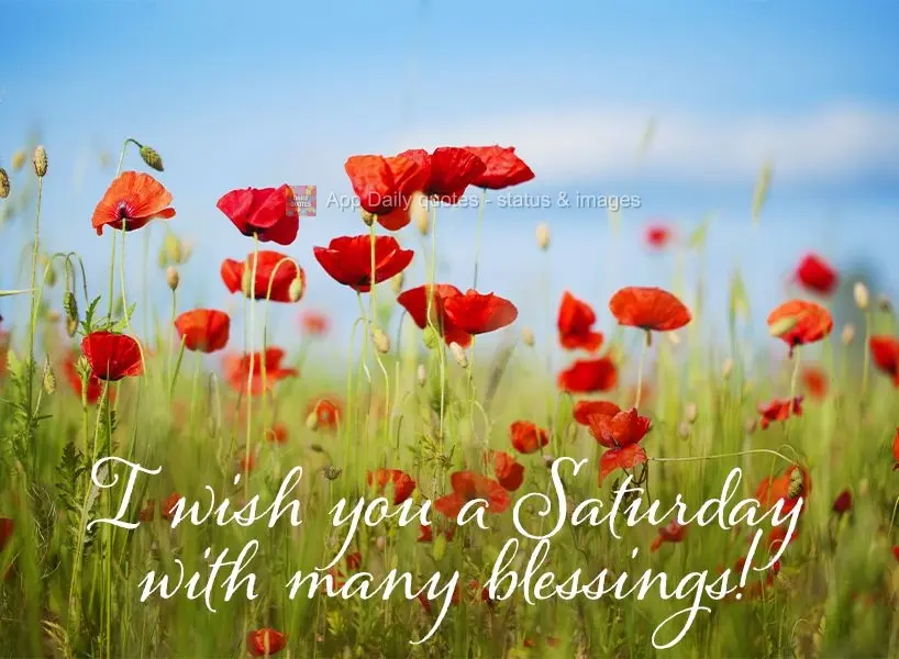 I wish you a Saturday with many blessings!