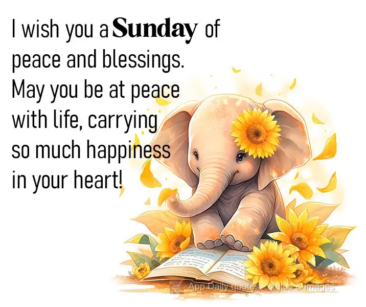 I wish you a Sunday of peace and blessings. May you be at peace with life, carrying so much happiness in your heart!