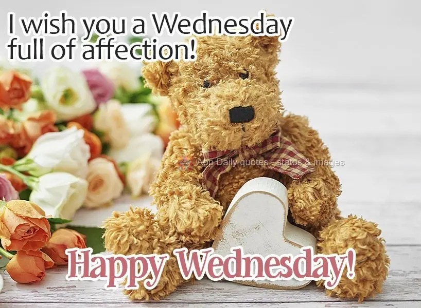 I wish you a Wednesday full of affection! Happy Wednesday!