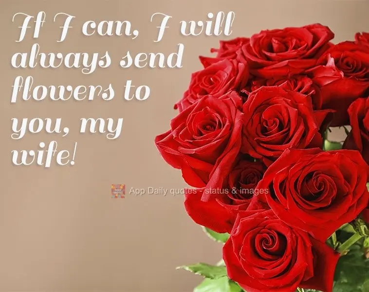 If I can, I will always send flowers to you, my lovely wife!