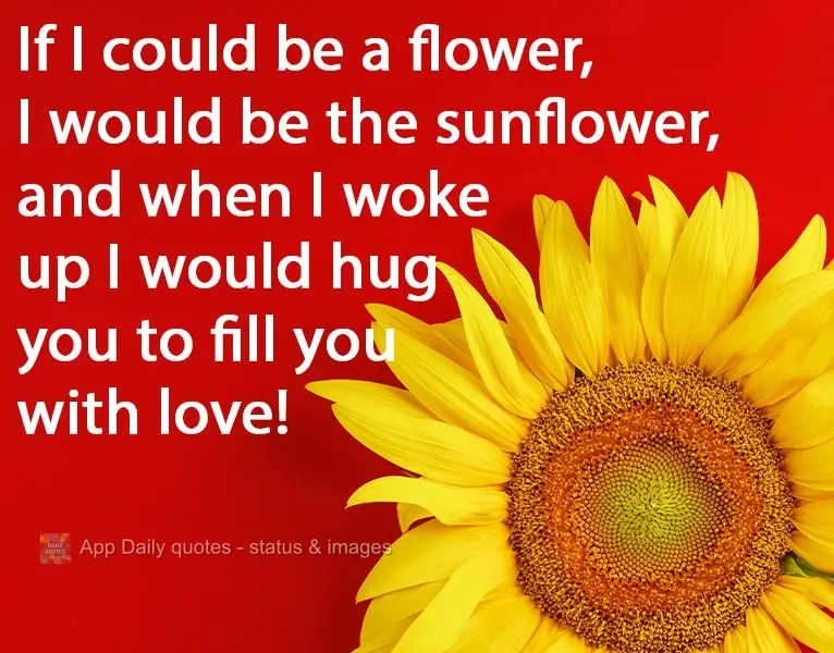 If I could be a flower, I would be a sunflower. Then when I woke up, I would hug you to fill you with love!