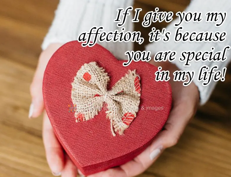 If I give you my affection, it's because you are special in my life! 