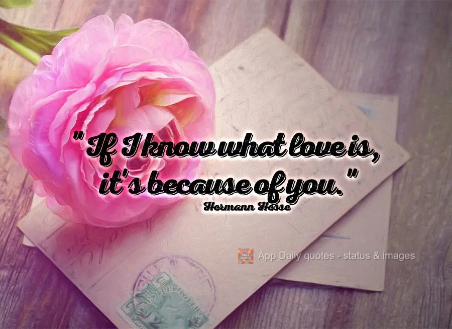 "If I know what love is, it's because of you." Hermann Hesse