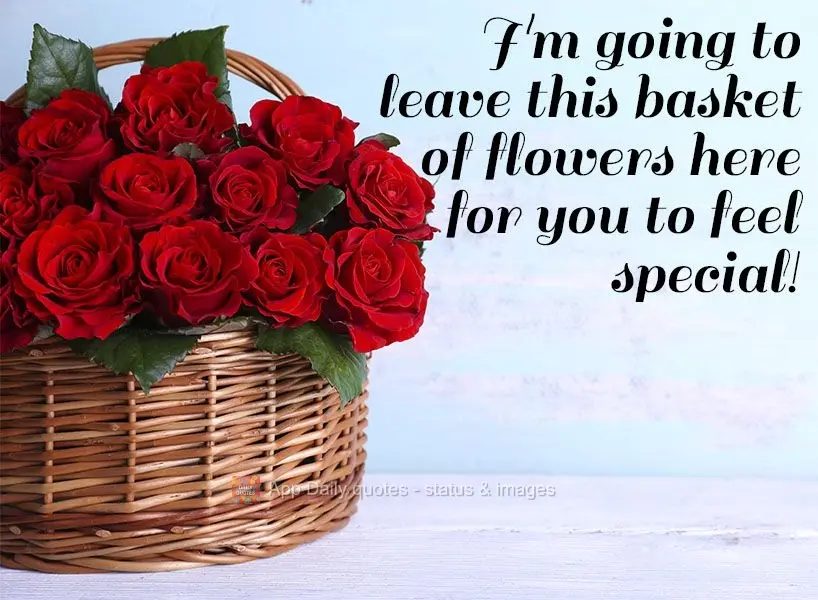 I'm going to leave this basket of flowers here so you feel special!