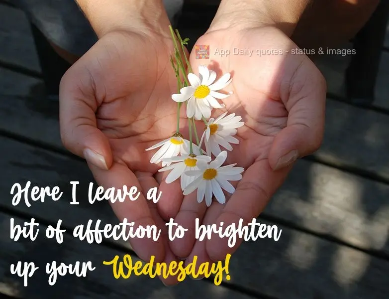 I'm leaving a bit of affection here to brighten up your Wednesday! 