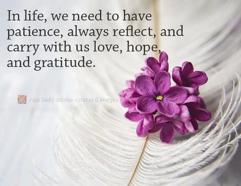 In life, we need to have patience, always reflect, and carry with us love, hope, and gratitude.
