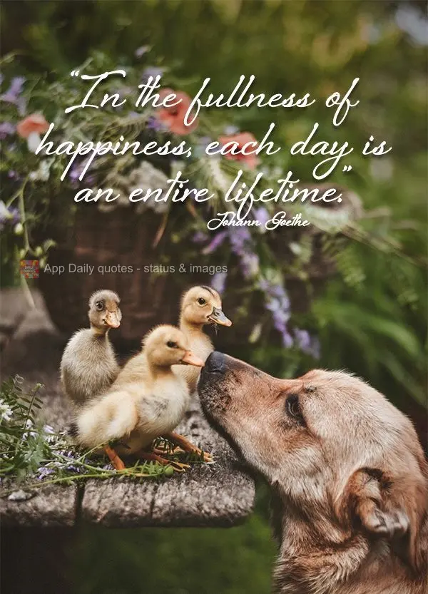 "In the fullness of happiness, each day is an entire lifetime." Johann Goethe