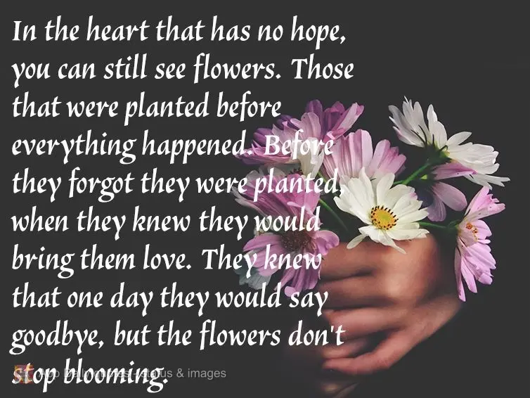 In the heart that has no hope, you can still see flowers. Those that were planted before everything happened. Before they forgot they were planted, when ...