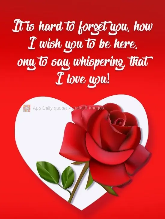 It is hard to forget you. How I wish you were here, only to whisper that I love you!