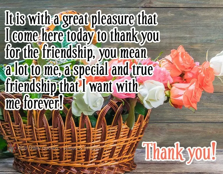 It is with great pleasure that I come here today to thank you for your friendship. You mean a lot to me, and we have a special and true friendship that I...