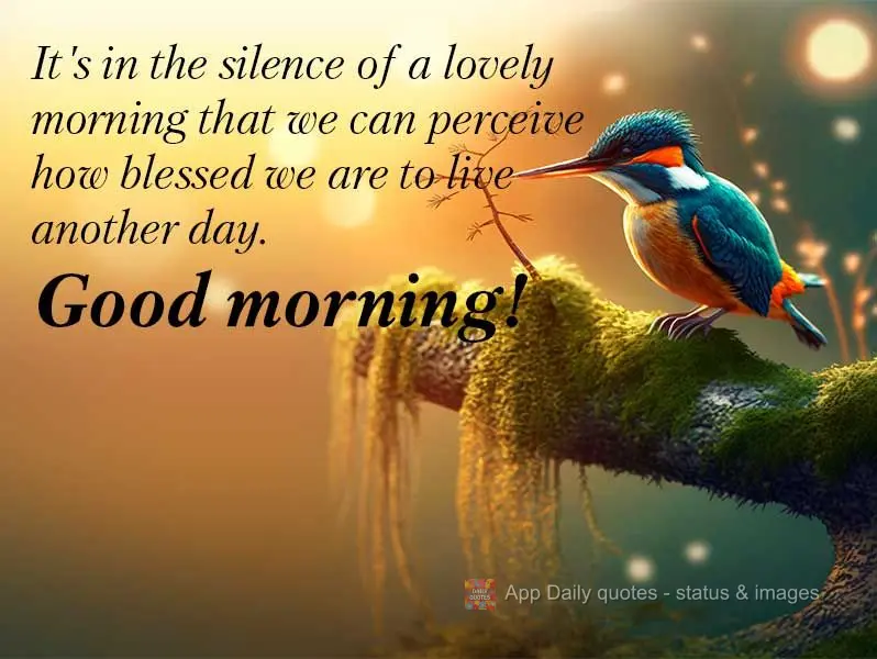 It's in the silence of a lovely morning that we perceive how blessed we are to live another day. Good morning!